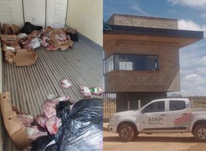 Quase 850 kg de carne de boi vencida são apreendidos em caminhão sem refrigeração no PI