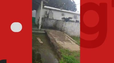 VÍDEO: Família alega abandono de corpo de jovem em hospital e mostra urubus próximos ao local no AC