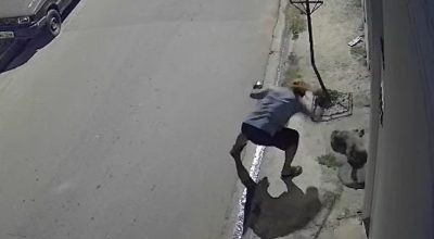 VÍDEO: Homem é preso em flagrante por agredir cachorro a pauladas em Atibaia (SP)