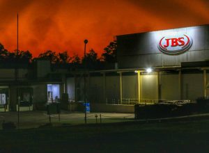 Vagas de emprego JBS em Goiás: mais de 200 oportunidades abertas