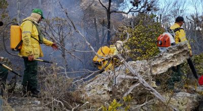 Vagas para brigadistas florestais no Pará: Semas abre 112 postos
