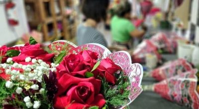 Vai presentear? Pesquisa aponta preços de flores para o Dia da Mulher