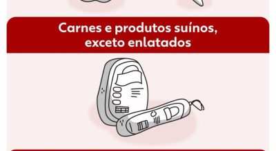 Vai trazer comida do exterior? Veja quando e como pedir autorização após mudança de regra