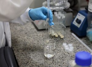 Doença de Newcastle em Santa Catarina avança com protocolos sanitários