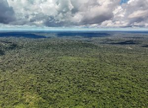 Governo federal libera US$ 1 bilhão do BID para financiar projetos do Eco Invest Brasil
