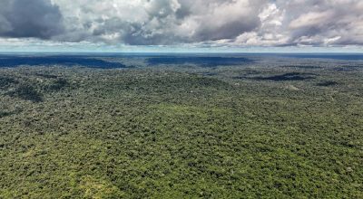 Governo federal libera US$ 1 bilhão do BID para financiar projetos do Eco Invest Brasil