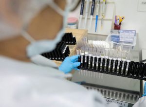 Malária: Anvisa libera testes em humanos de vacina 100% brasileira