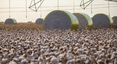 Mudança territorial tira Sorriso do topo da produção agrícola nacional