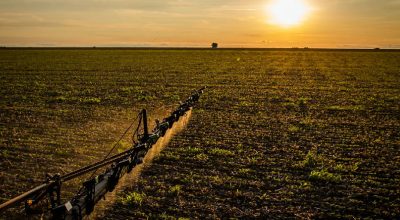 Seguro rural ganha novas regras para ampliar proteção e crédito ao produtor