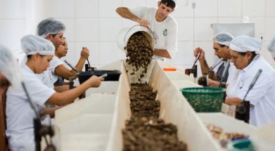 Termina nesta quarta prazo do Mdic para contribuições sobre bens sustentáveis no acordo Mercosul–UE